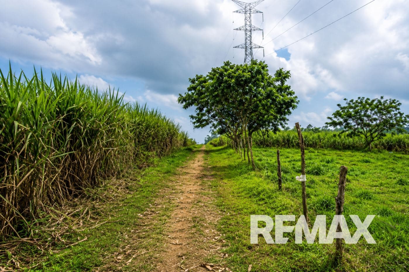 PRODUCTIVE FARM FOR SALE IN SANTA CECILIA, LA CRUZ – GUANACASTE, photo 14