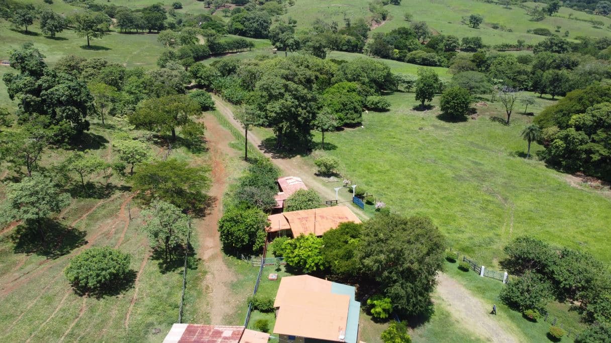 166-Hectare Cattle Ranch with Abundant Water and Complete Infrastructure in Cañas, Guanacaste – Investment Opportunity, photo 10