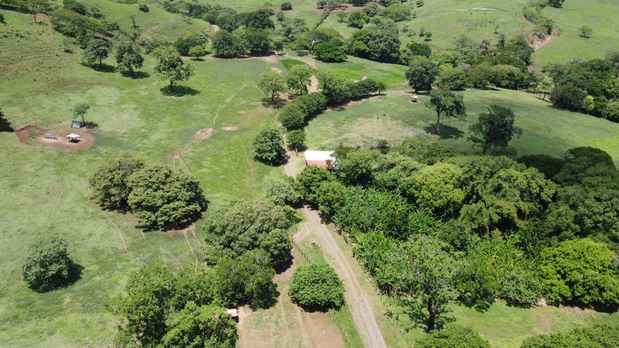 166-Hectare Cattle Ranch with Abundant Water and Complete Infrastructure in Cañas, Guanacaste – Investment Opportunity, photo 20