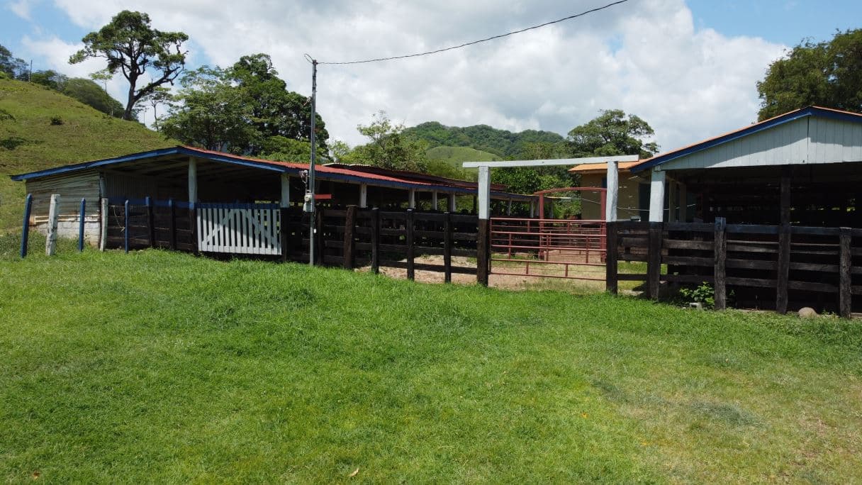 166-Hectare Cattle Ranch with Abundant Water and Complete Infrastructure in Cañas, Guanacaste – Investment Opportunity, photo 2