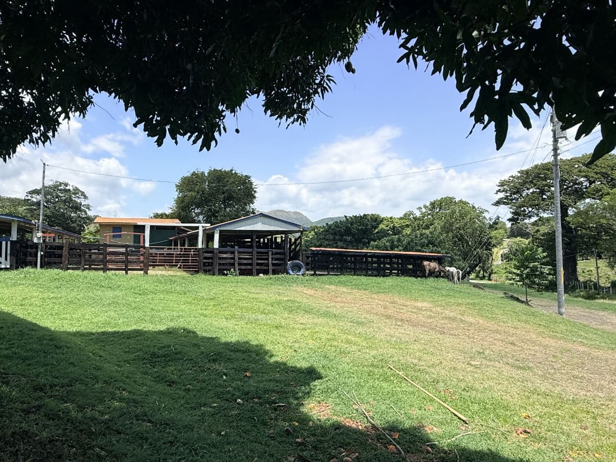 166-Hectare Cattle Ranch with Abundant Water and Complete Infrastructure in Cañas, Guanacaste – Investment Opportunity, photo 3