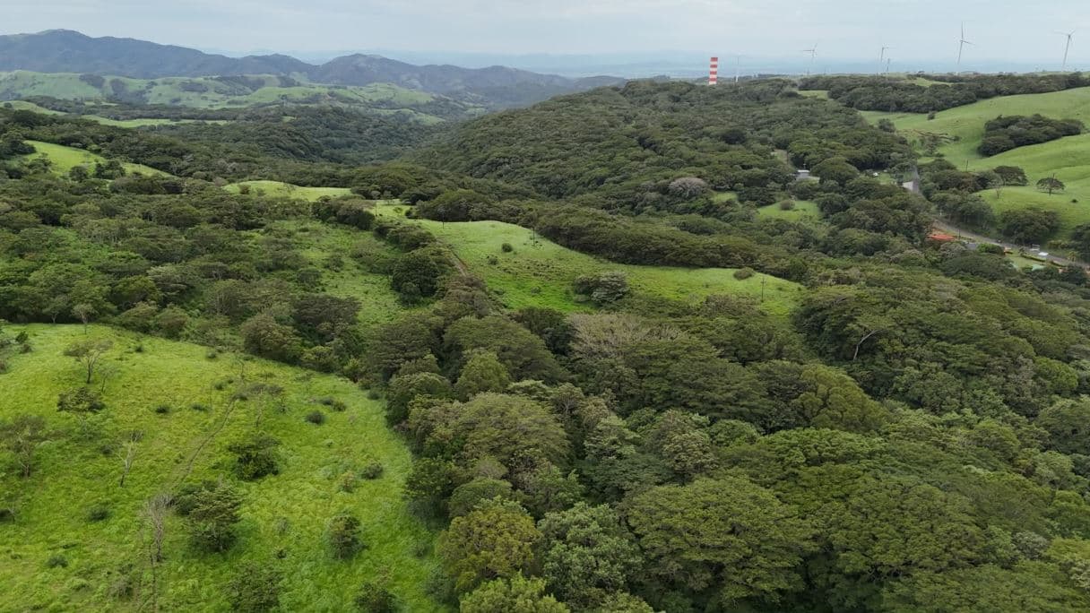 185.93-HECTARE INVESTMENT PROPERTY IN TILARÁN, GUANACASTE, photo 33