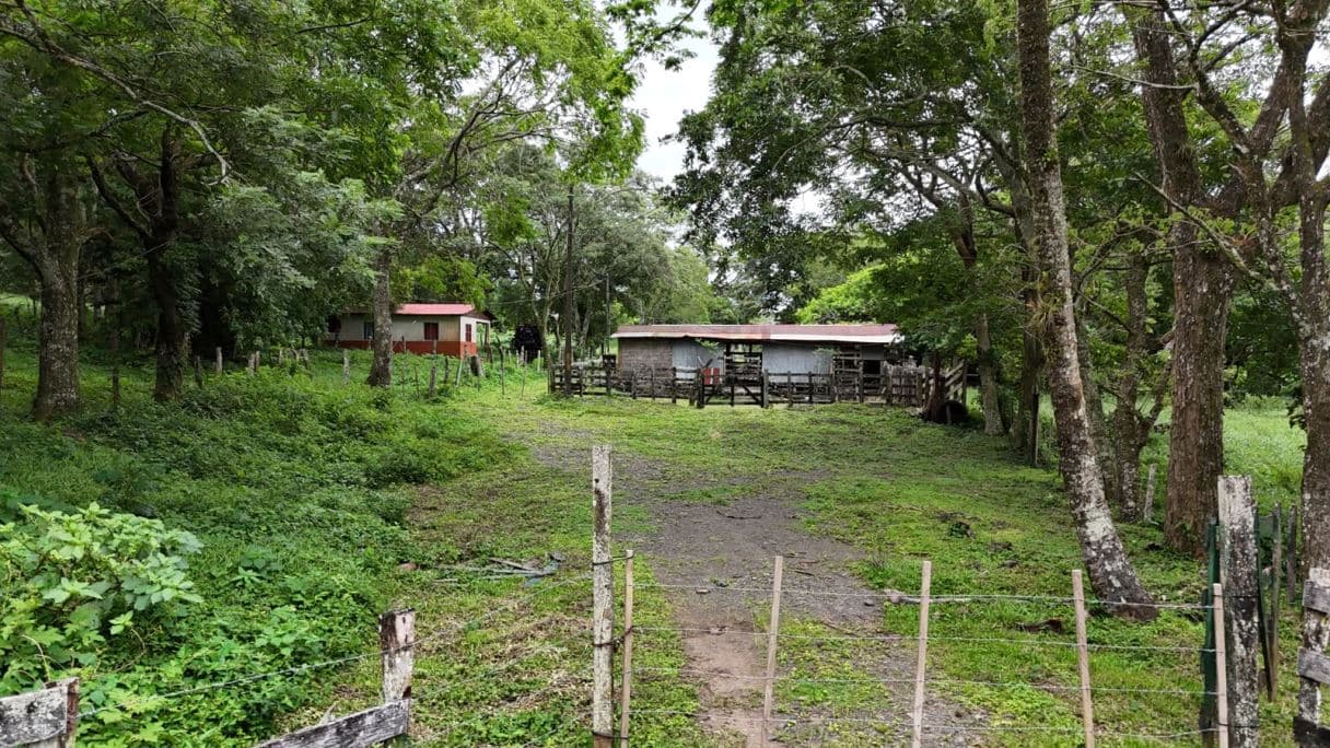 185.93-HECTARE INVESTMENT PROPERTY IN TILARÁN, GUANACASTE, photo 2