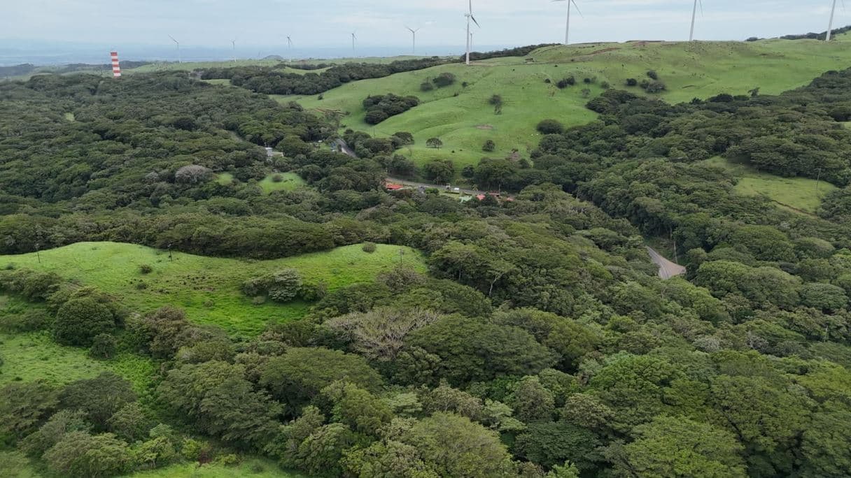 185.93-HECTARE INVESTMENT PROPERTY IN TILARÁN, GUANACASTE, photo 12