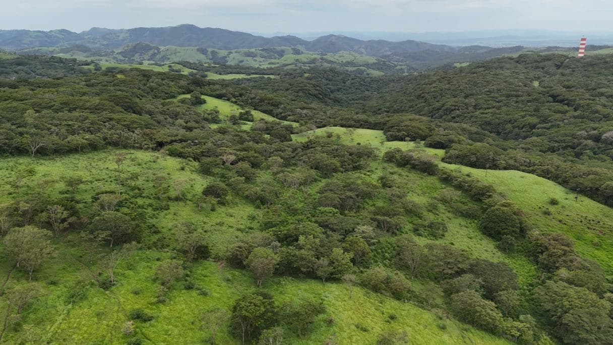 185.93-HECTARE INVESTMENT PROPERTY IN TILARÁN, GUANACASTE, photo 13
