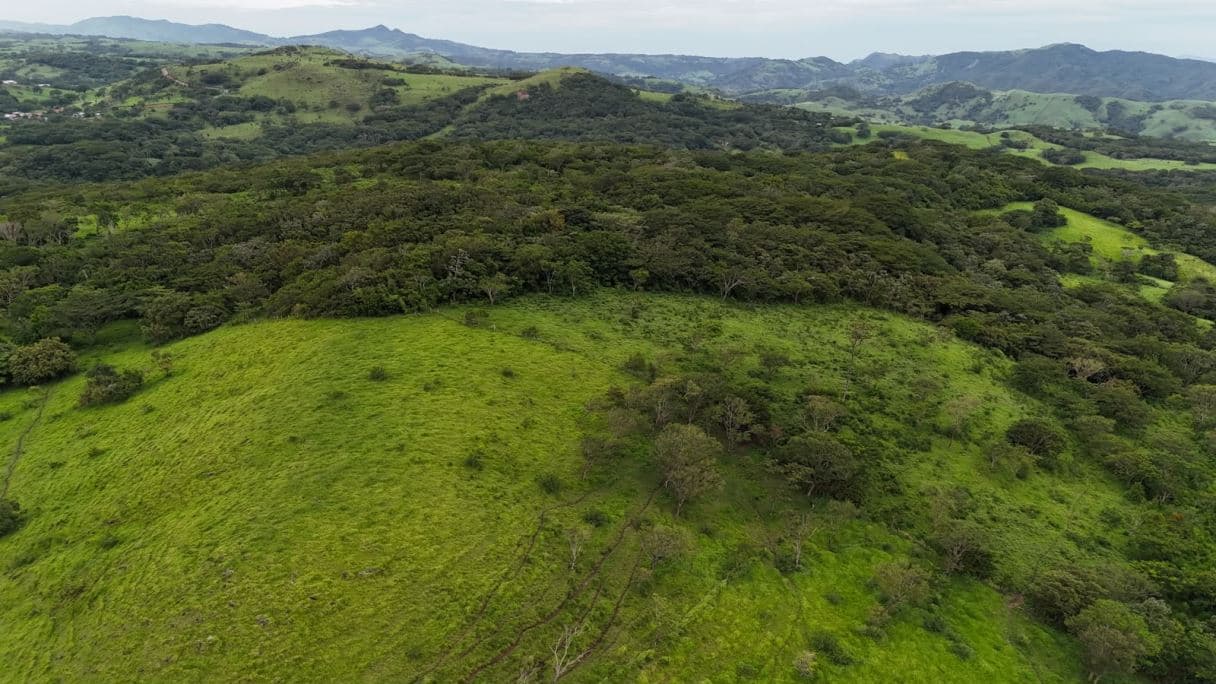 185.93-HECTARE INVESTMENT PROPERTY IN TILARÁN, GUANACASTE, photo 15