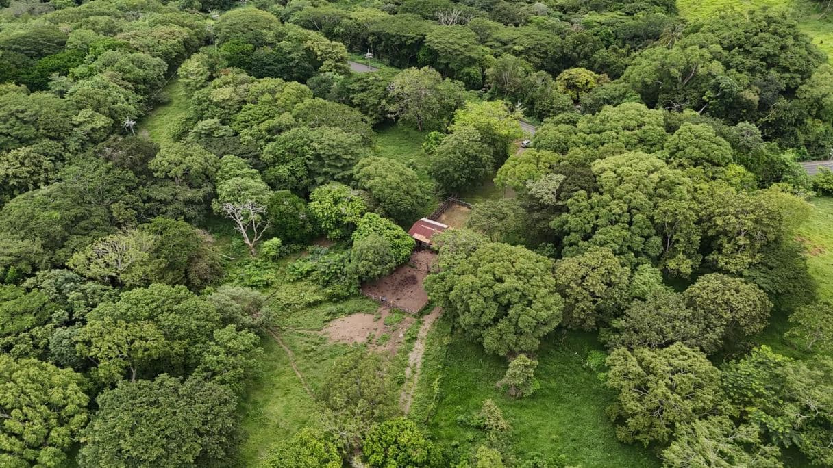 185.93-HECTARE INVESTMENT PROPERTY IN TILARÁN, GUANACASTE, photo 10