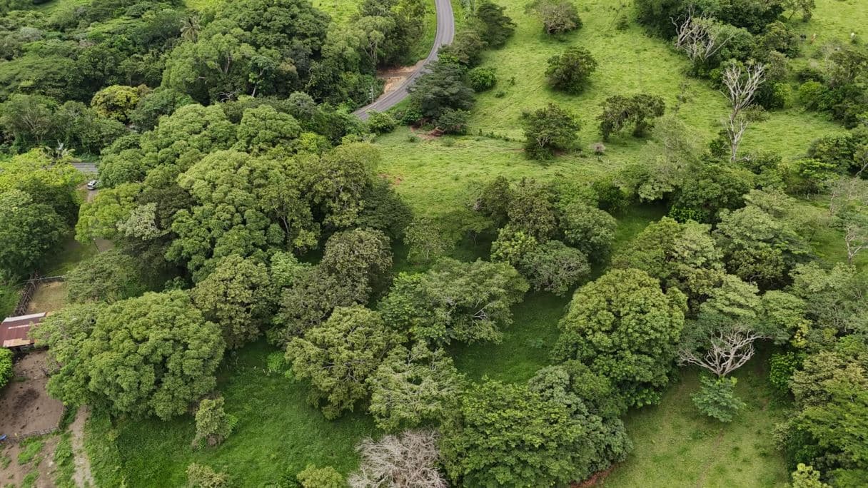 185.93-HECTARE INVESTMENT PROPERTY IN TILARÁN, GUANACASTE, photo 11