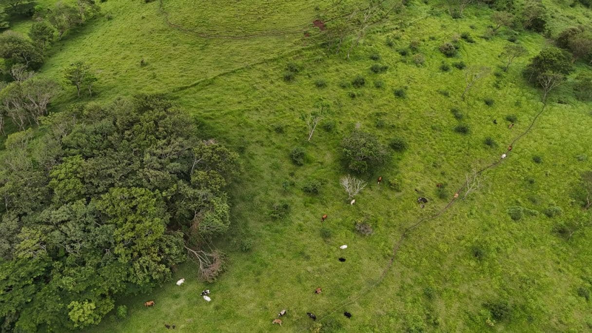 185.93-HECTARE INVESTMENT PROPERTY IN TILARÁN, GUANACASTE, photo 16