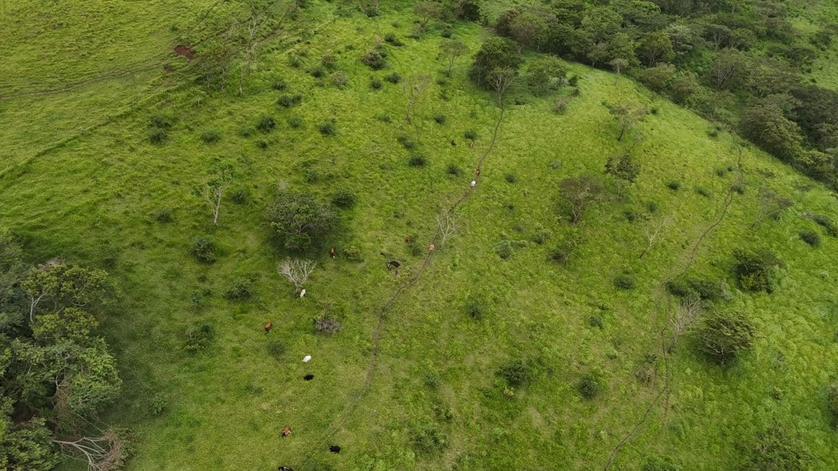 185.93-HECTARE INVESTMENT PROPERTY IN TILARÁN, GUANACASTE, photo 17