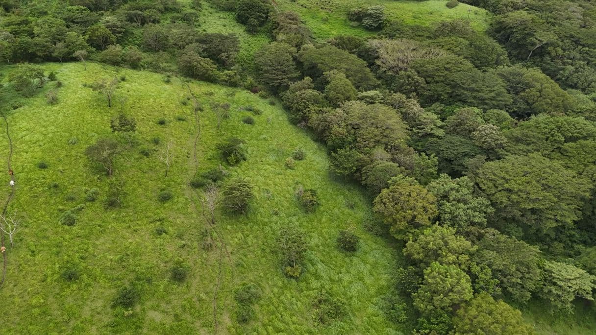 185.93-HECTARE INVESTMENT PROPERTY IN TILARÁN, GUANACASTE, photo 18