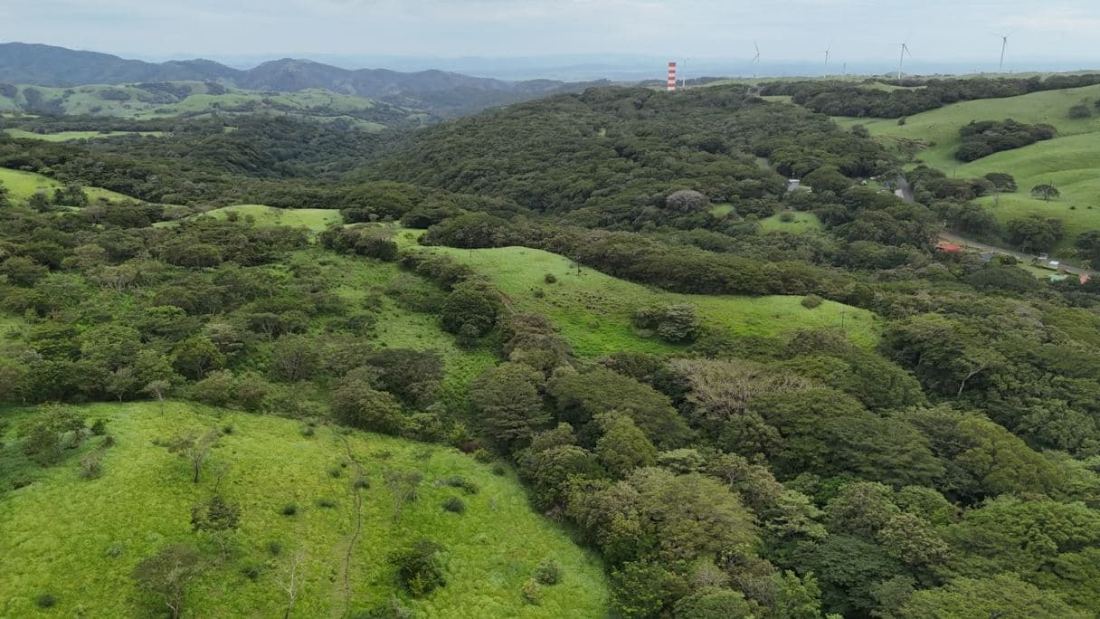 185.93-HECTARE INVESTMENT PROPERTY IN TILARÁN, GUANACASTE, photo 19