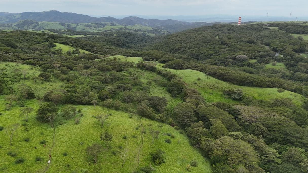 185.93-HECTARE INVESTMENT PROPERTY IN TILARÁN, GUANACASTE, photo 20