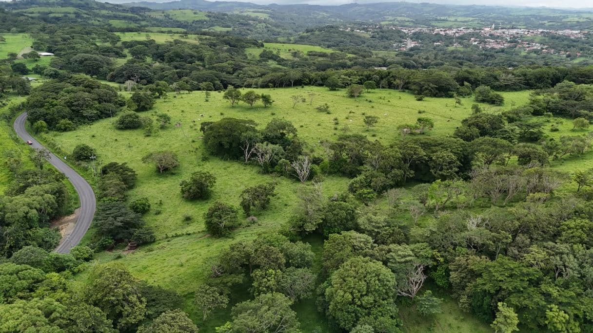 185.93-HECTARE INVESTMENT PROPERTY IN TILARÁN, GUANACASTE, photo 22