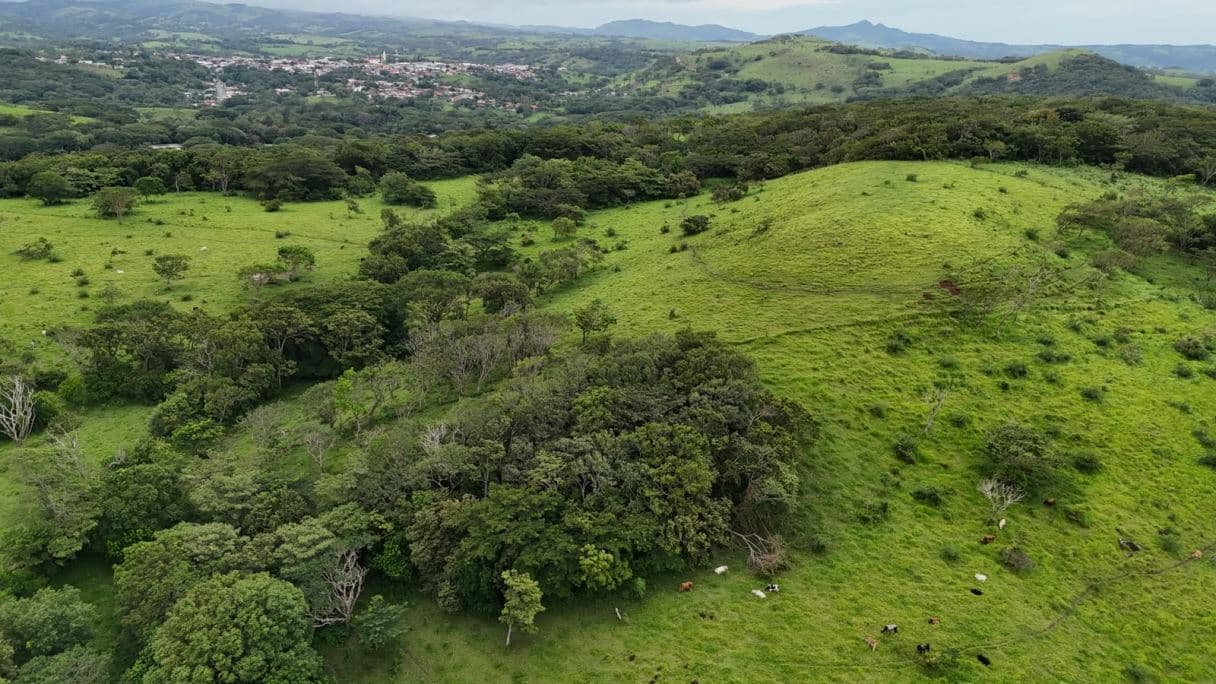 185.93-HECTARE INVESTMENT PROPERTY IN TILARÁN, GUANACASTE, photo 23