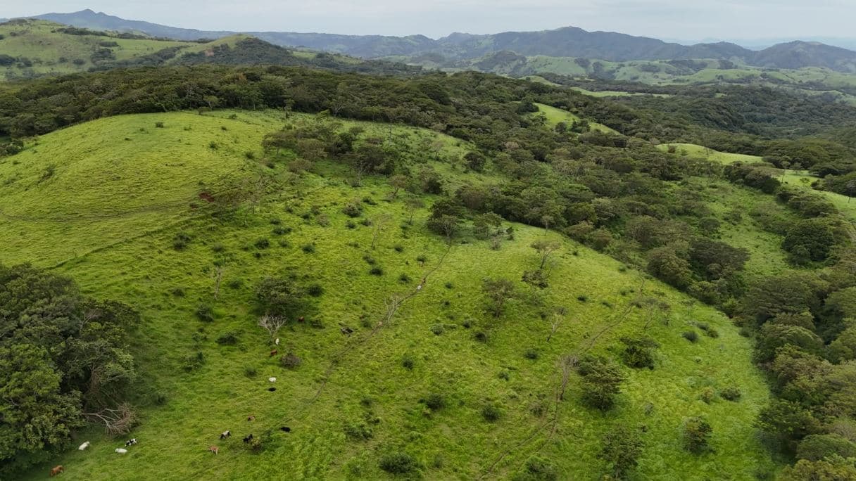 185.93-HECTARE INVESTMENT PROPERTY IN TILARÁN, GUANACASTE, photo 24