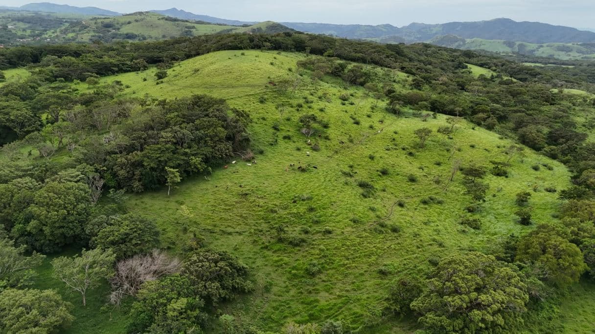 185.93-HECTARE INVESTMENT PROPERTY IN TILARÁN, GUANACASTE, photo 25