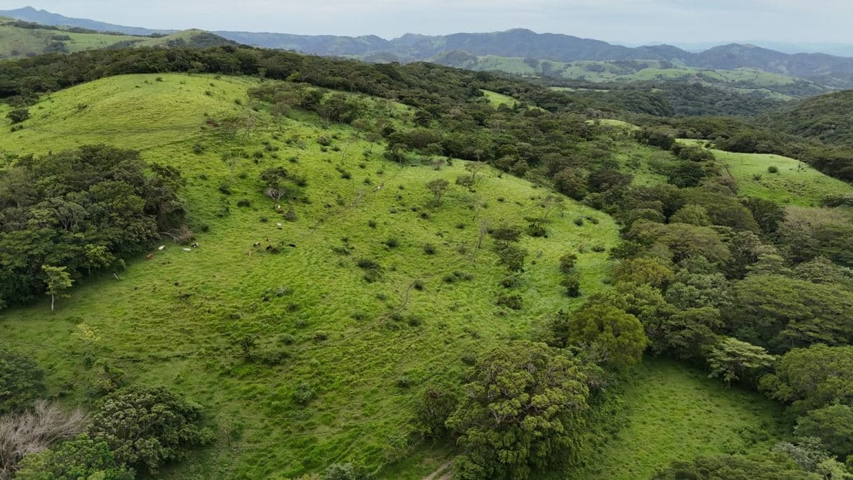 185.93-HECTARE INVESTMENT PROPERTY IN TILARÁN, GUANACASTE, photo 26