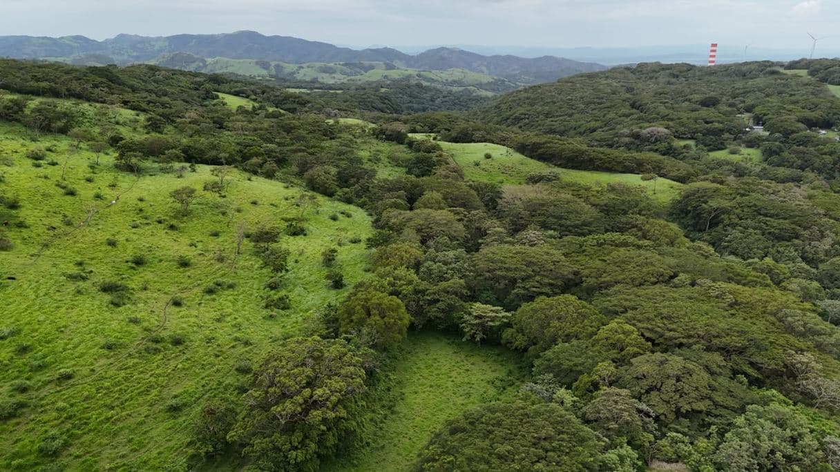 185.93-HECTARE INVESTMENT PROPERTY IN TILARÁN, GUANACASTE, photo 27