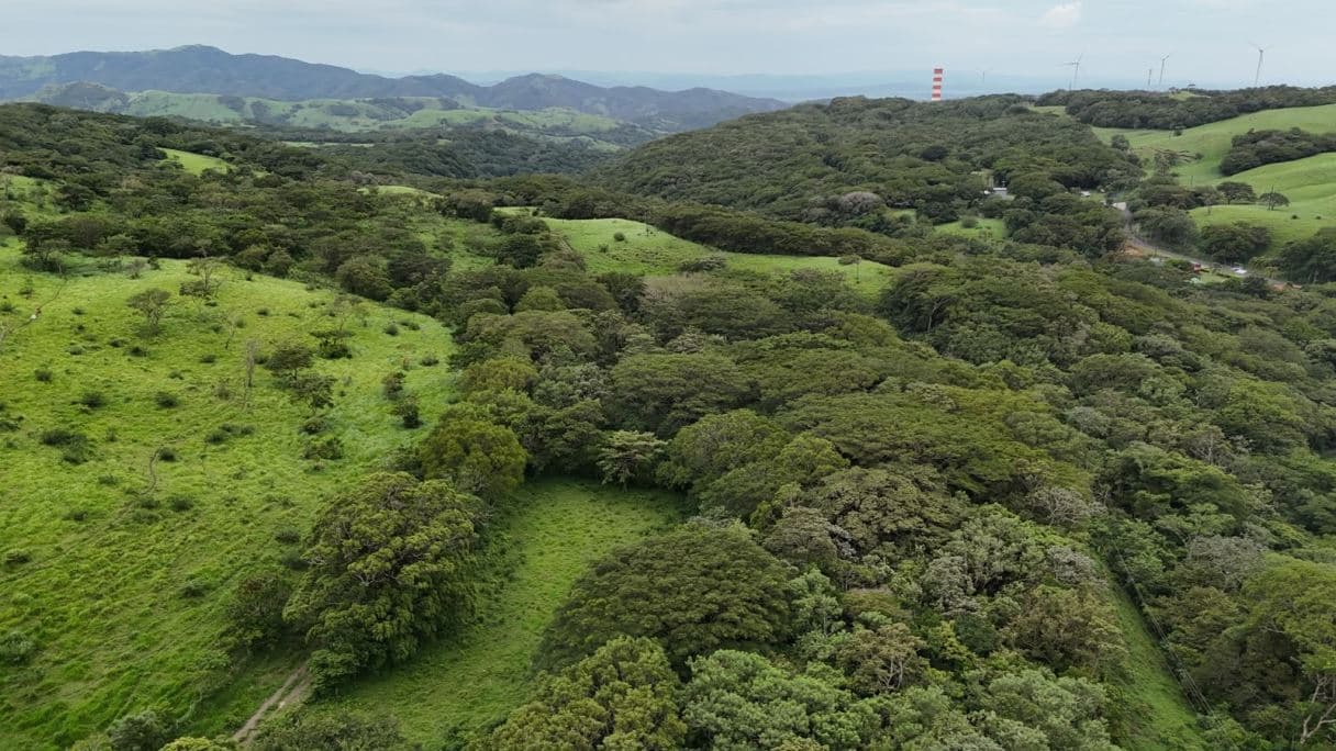 185.93-HECTARE INVESTMENT PROPERTY IN TILARÁN, GUANACASTE, photo 28