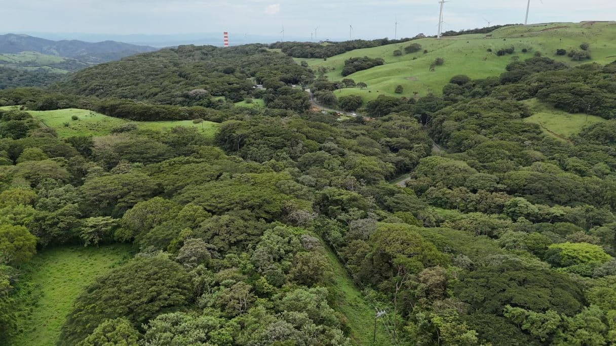 185.93-HECTARE INVESTMENT PROPERTY IN TILARÁN, GUANACASTE, photo 29