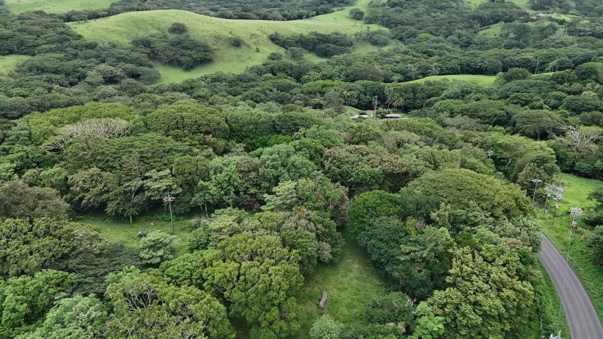185.93-HECTARE INVESTMENT PROPERTY IN TILARÁN, GUANACASTE, photo 30