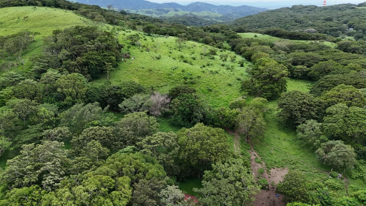 185.93-HECTARE INVESTMENT PROPERTY IN TILARÁN, GUANACASTE, photo 31