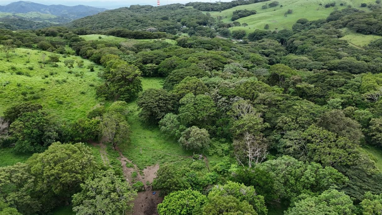 185.93-HECTARE INVESTMENT PROPERTY IN TILARÁN, GUANACASTE, photo 32