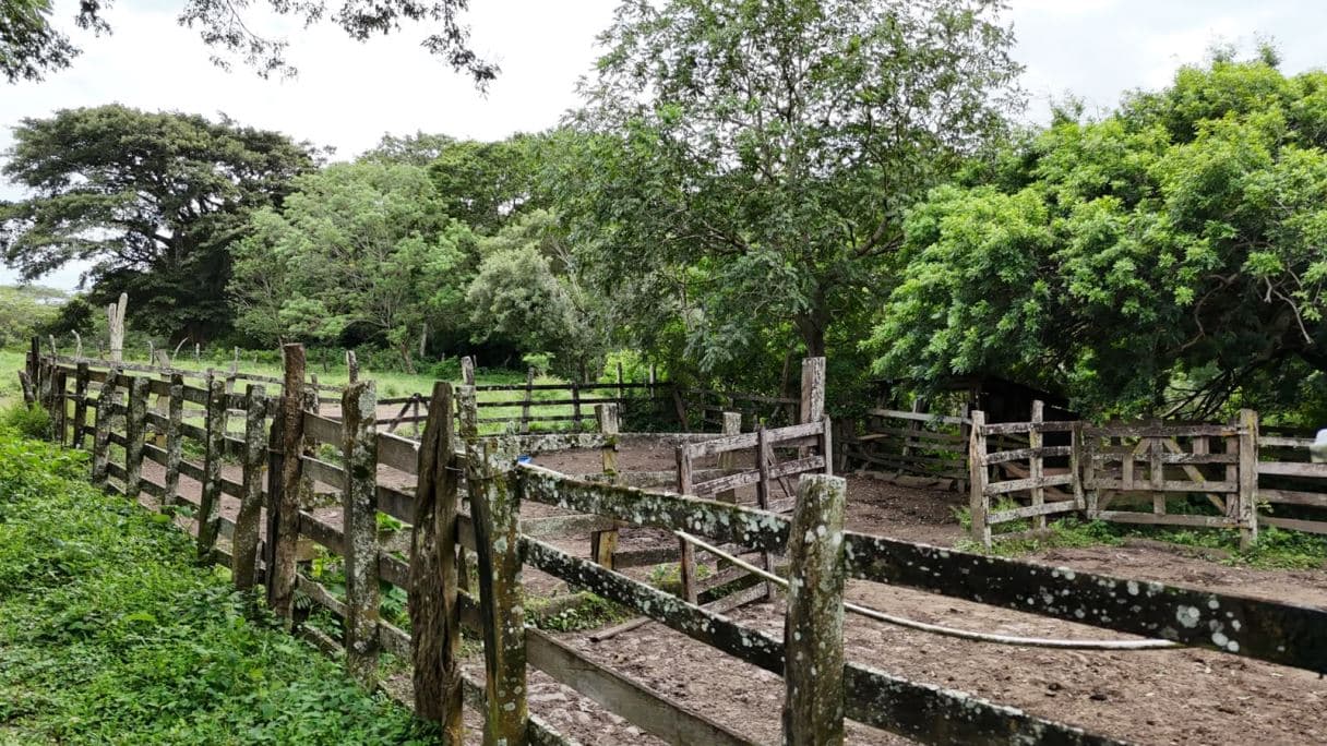 185.93-HECTARE INVESTMENT PROPERTY IN TILARÁN, GUANACASTE, photo 3