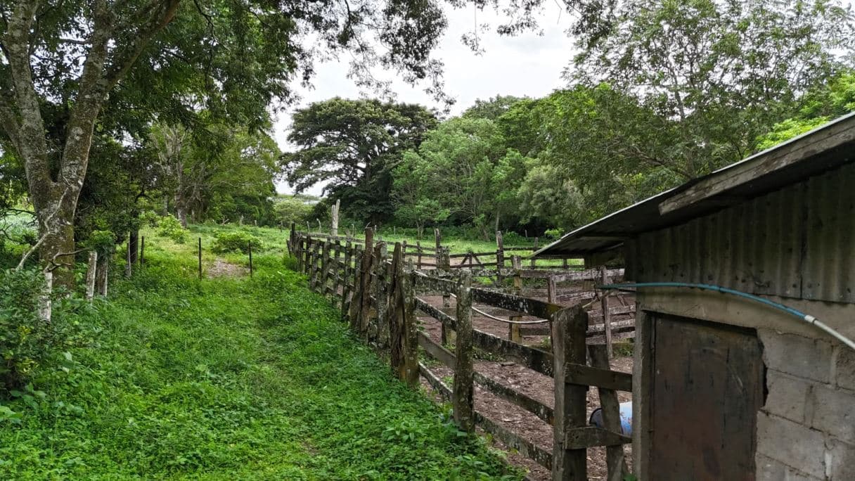 185.93-HECTARE INVESTMENT PROPERTY IN TILARÁN, GUANACASTE, photo 4