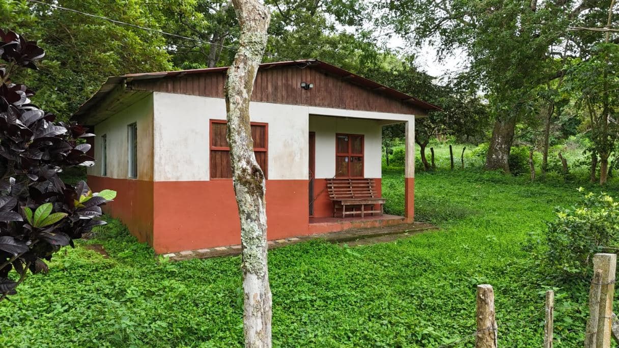185.93-HECTARE INVESTMENT PROPERTY IN TILARÁN, GUANACASTE, photo 5