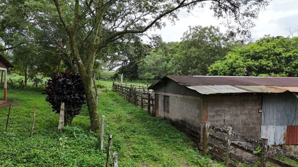 185.93-HECTARE INVESTMENT PROPERTY IN TILARÁN, GUANACASTE, photo 6
