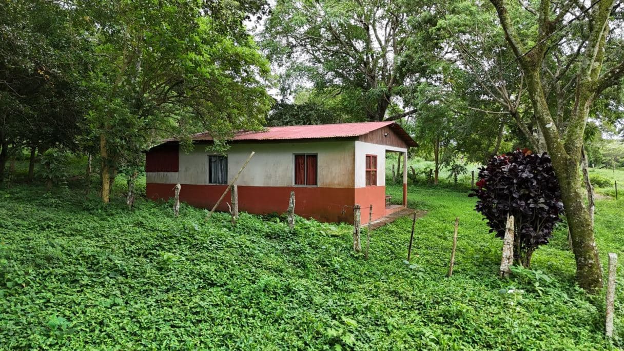 185.93-HECTARE INVESTMENT PROPERTY IN TILARÁN, GUANACASTE, photo 7