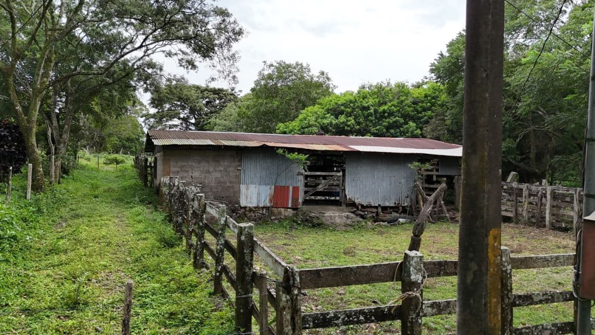 185.93-HECTARE INVESTMENT PROPERTY IN TILARÁN, GUANACASTE, photo 8